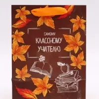Набор ламинированных вертикальных пакетов &laquo;Классному учителю&raquo;, 3 шт, MS 18 &times; 23 &times; 10 см