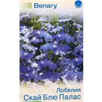 Семена цветов Лобелия Скай блю палас кустовая (драже в пробирке) Спецсерия Benary, Ц/П,5 шт. 109455 Семена цветов Лобелия Скай блю палас кустовая (драже в пробирке) Спецсерия Benary, Ц/П,5 шт. 109455