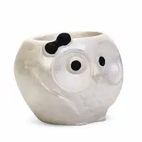 Декоративное кашпо для цветов &laquo;Сова&raquo;, 6.5&times;7.5&times;6 см, гипс, белое