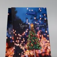 Пакет подарочный новогодний ламинированный, «Дед Мороз» , 11.5×6.5×14.5 см