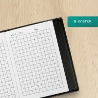 Набор записных книжек &laquo;Перо&raquo; в клетку, 2 штуки, А7, 70 листов, чёрные