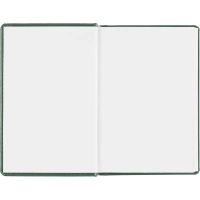 Ежедневник датированный 2026, зеленый,А6, 100х150 мм,336 стр,Agenda