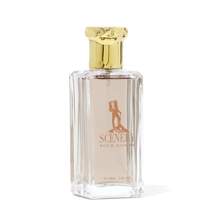 Туалетная вода мужская Scenery, 100 мл Туалетная вода мужская Scenery, 100 мл