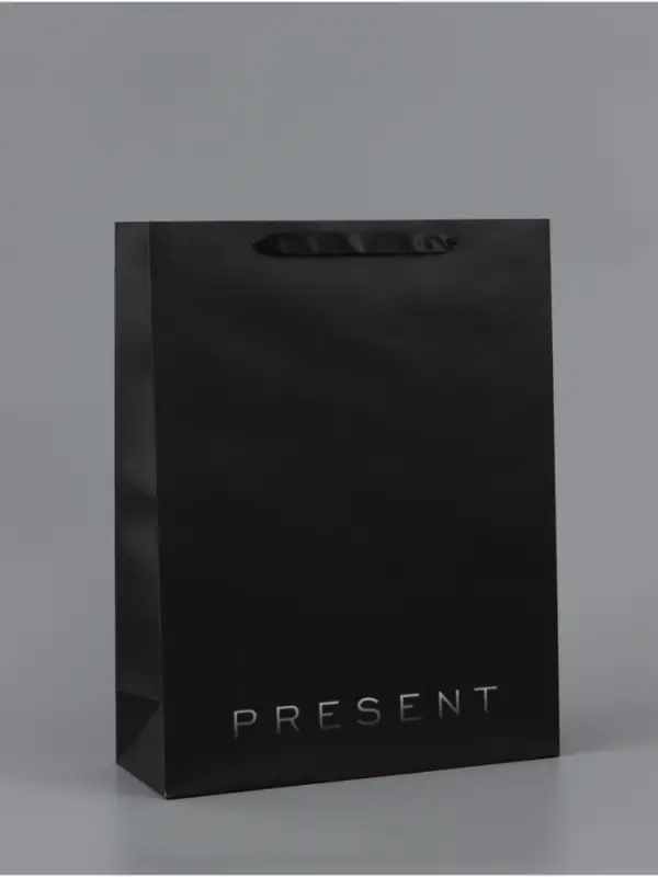 Пакет ламинированный вертикальный Present, 33&times;42&times;10 см