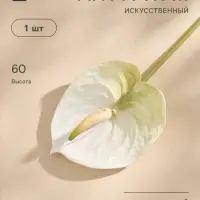 Цветы искусственные &laquo;Антуриум&raquo;, h=60 см, белые