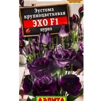 Семена цветов Эустома Эхо F1 пурпл крупноцветковая (драже в пробирке) С. Sakata, Ц/П,5 шт. Семена цветов Эустома Эхо F1 пурпл крупноцветковая (драже в пробирке) С. Sakata, Ц/П,5 шт.