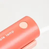 Лампа настольная RISALUX &laquo;Лансер&raquo;, светодиодная, 3.5 Вт, USB, АКБ, красно-розовая, 11&times;15&times;45 см