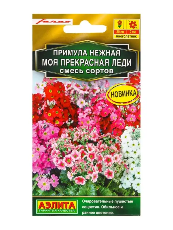 Семена цветов Примула Моя прекрасная леди, смесь сортов Мн С. Farao Золотая серия, Ц/П,7 шт. 1094587