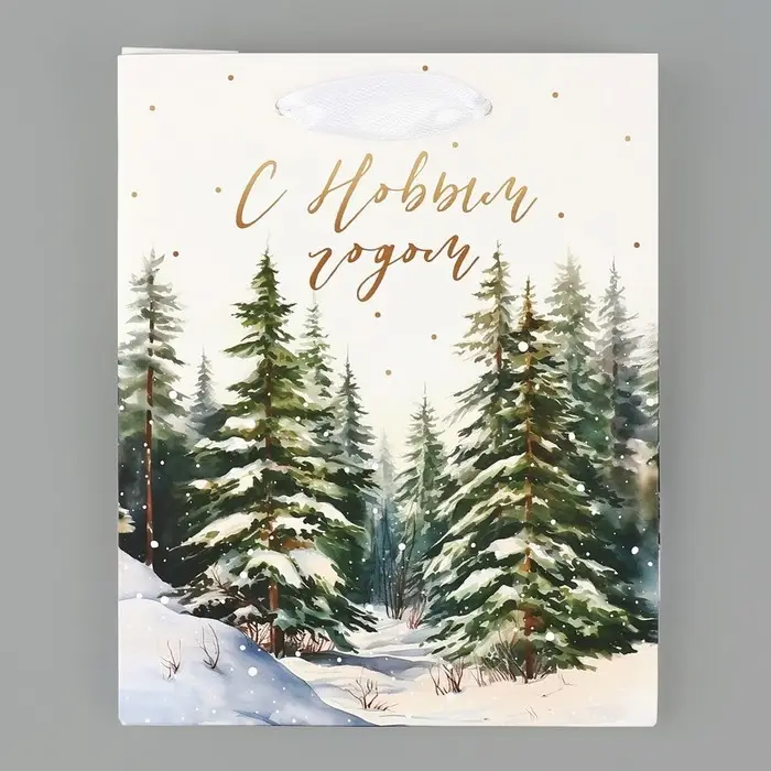 Пакет подарочный новогодний ламинированный «Зимний лес», S 12 х 15 х 5.5 см Пакет подарочный новогодний ламинированный «Зимний лес», S 12 х 15 х 5.5 см