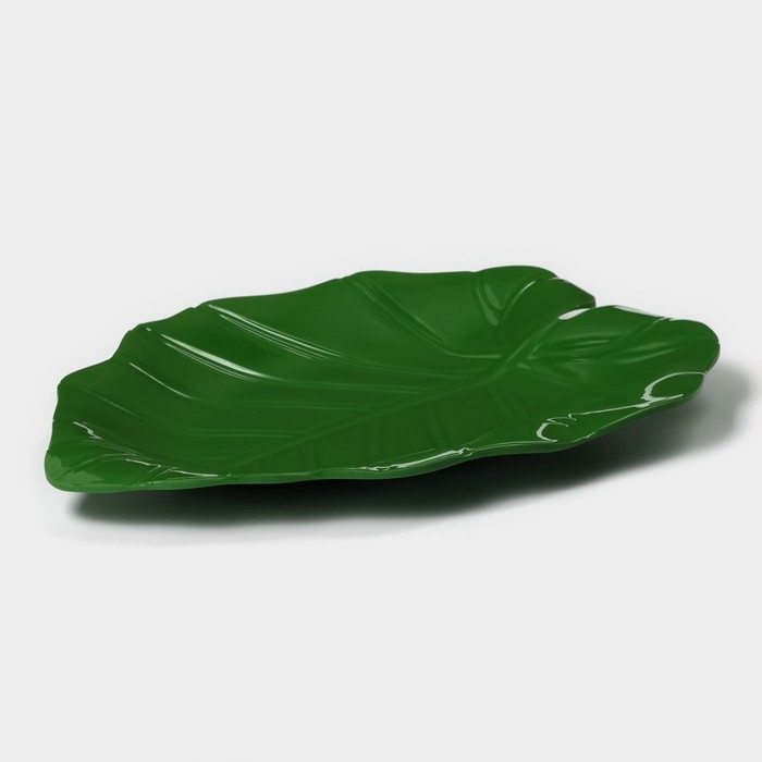 Блюдо для подачи «Лист», 25×17×2 см, цвет зелёный Блюдо для подачи «Лист», 25×17×2 см, цвет зелёный