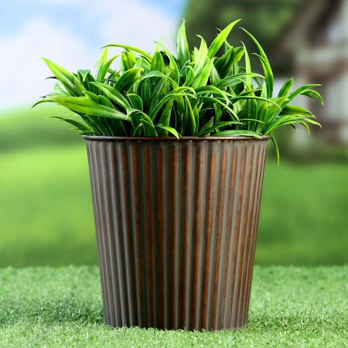 Горшок Горшок "Ведерко Джун" 12х12см