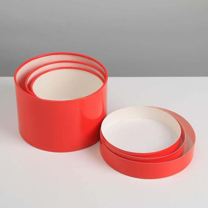 Набор шляпных коробок 3 в 1 красный, упаковка подарочная, 16 х 10, 14 х 9, 13 х 8,5 см Набор шляпных коробок 3 в 1 красный, упаковка подарочная, 16 х 10, 14 х 9, 13 х 8,5 см