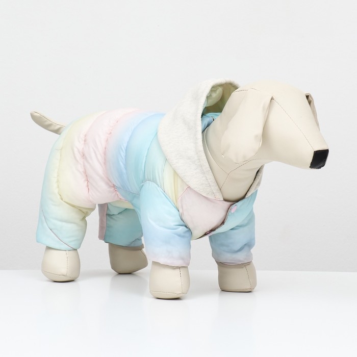 Комбинезон  Комбинезон "Для прогулки", размер 10 (ДС 21 см, ОГ 34 см, ОШ 24 см), пастельный