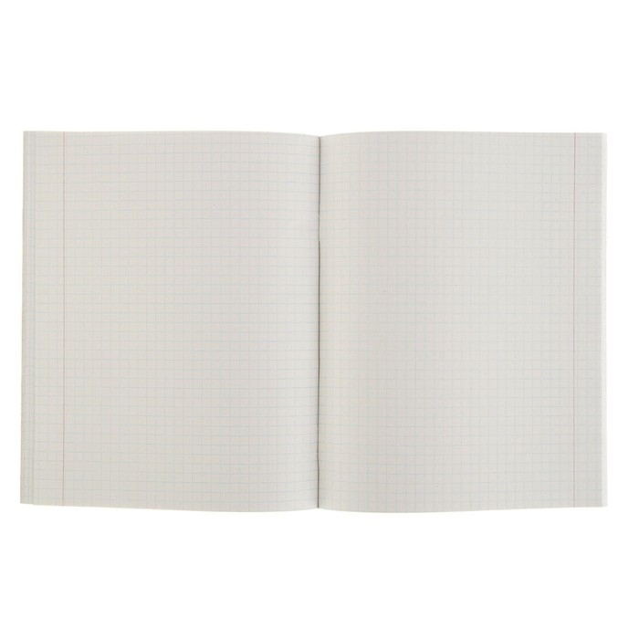 Комплект тетрадей из 5 штук (4 разные + 1 повторяющаяся), 48 листов в клетку Calligrata "Орнамент", обложка мелованная бумага, блок №2, белизна 75% (серые листы)