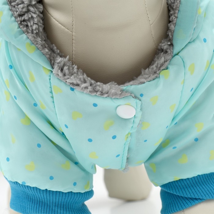 Комбинезон  Комбинезон "нежный путь" на меховом подкладе, размер M (ДС 30, ОШ 30, ОГ 40 см), голубой