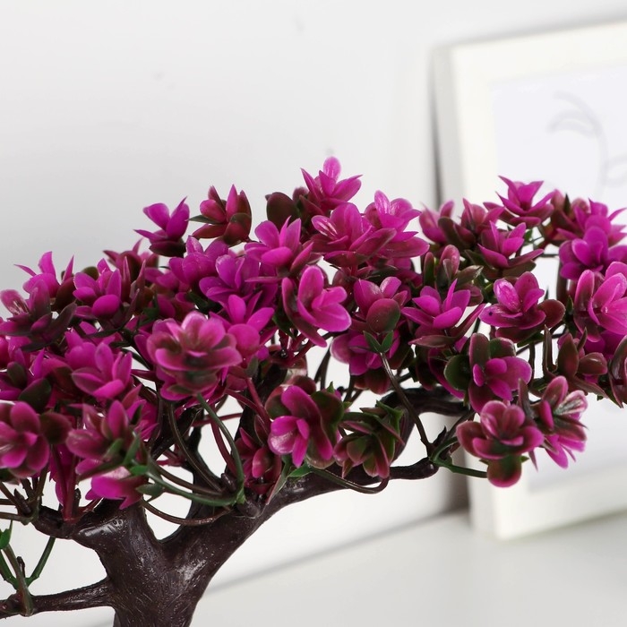 Бонсай в горшке &laquo;Молочай многоцветный&raquo; 12х16 см, микс