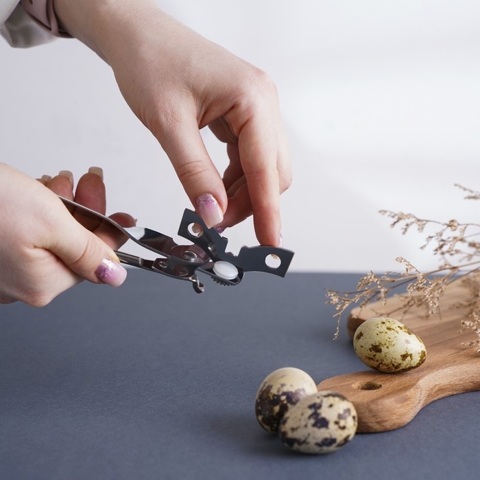 Нож консервный Доляна «Эконом», 17 см, цвет серебряный Нож консервный Доляна «Эконом», 17 см, цвет серебряный