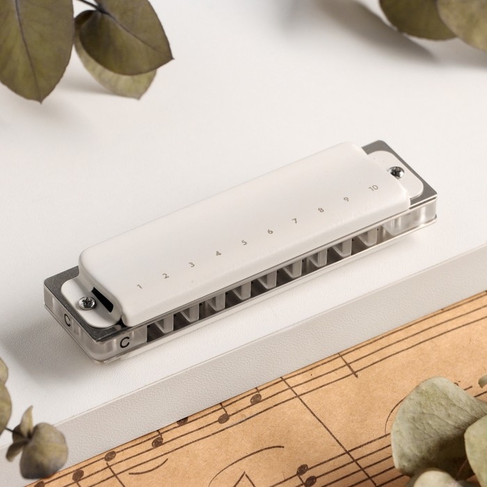 Губная гармошка Music Life T008L  C диатоническая, 10 отверстий, с футляром Губная гармошка Music Life T008L  C диатоническая, 10 отверстий, с футляром