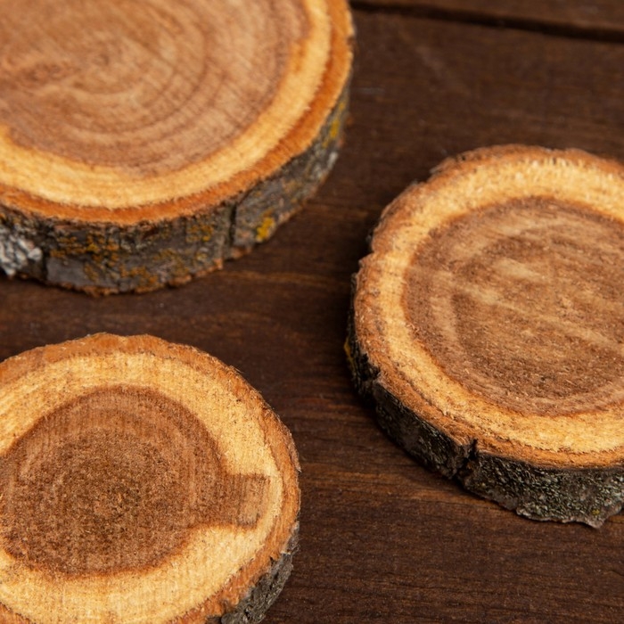 Набор спилов дуба 3шт 3х5х1см Набор спилов дуба 3шт 3х5х1см