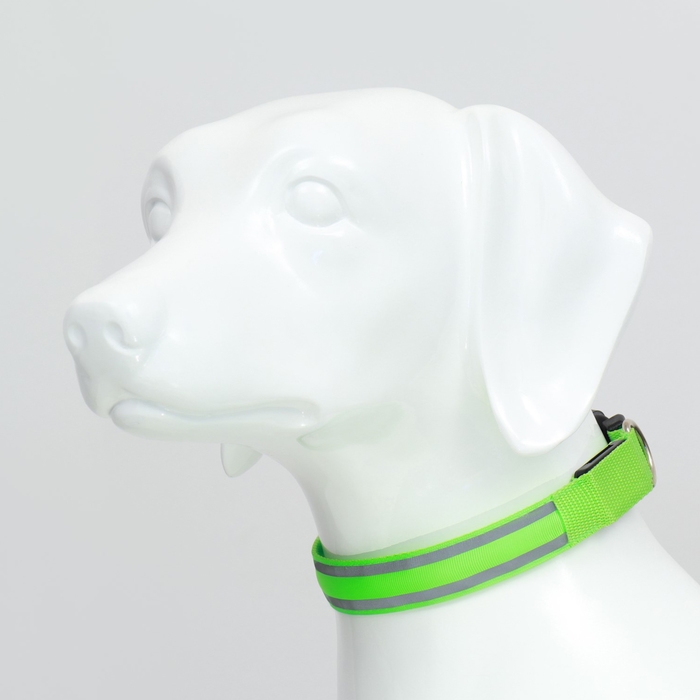 Ошейник с подсветкой Двойная полоса размер S, ОШ 35-43 х 2,5 см, 3 режима свечения зелёный Ошейник с подсветкой Двойная полоса размер S, ОШ 35-43 х 2,5 см, 3 режима свечения зелёный