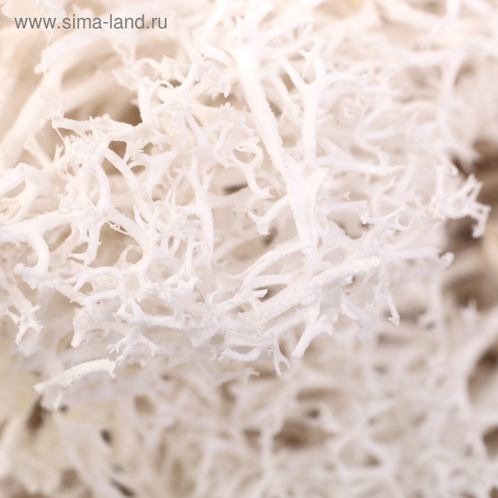 Мох искусственный Мох искусственный "Белый" 10 гр