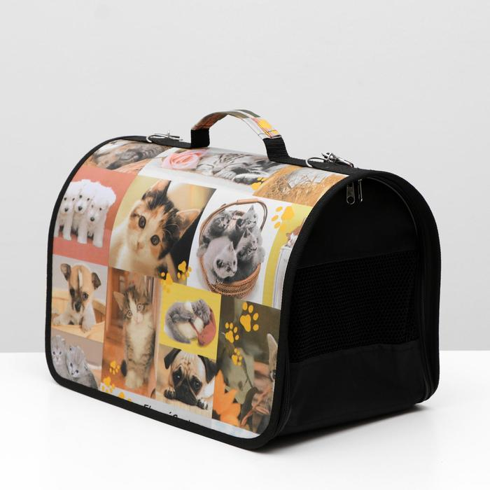 Сумка - переноска для животных с принтом, 40 х 25 х 28 см микс Сумка - переноска для животных с принтом, 40 х 25 х 28 см микс