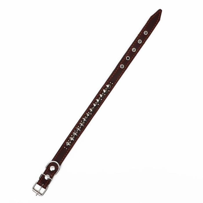 Ошейник кожаный на синтепоне Ошейник кожаный на синтепоне "Ёж", 56 х 2.5 см, ОШ 35-45 см, коричневый