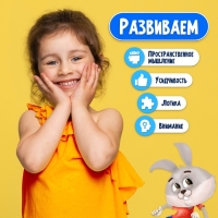 Настольная игра «Скоростные зайцы», 2-4 игрока, 5+