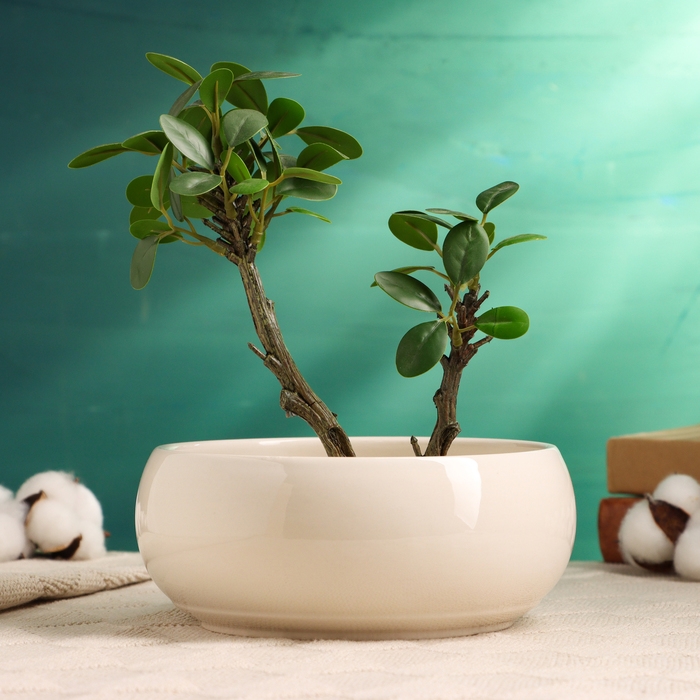 Кашпо - бонсай  Кашпо - бонсай "Мира" для кактусов и суккулентов, белое, 18х18х7см