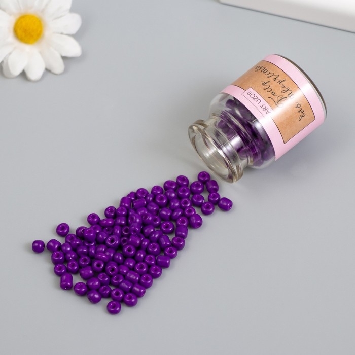 Бисер круглый 6/0 в бутылочке  Бисер круглый 6/0 в бутылочке "Глубокий фиолет" 2х20 гр набор 2 шт