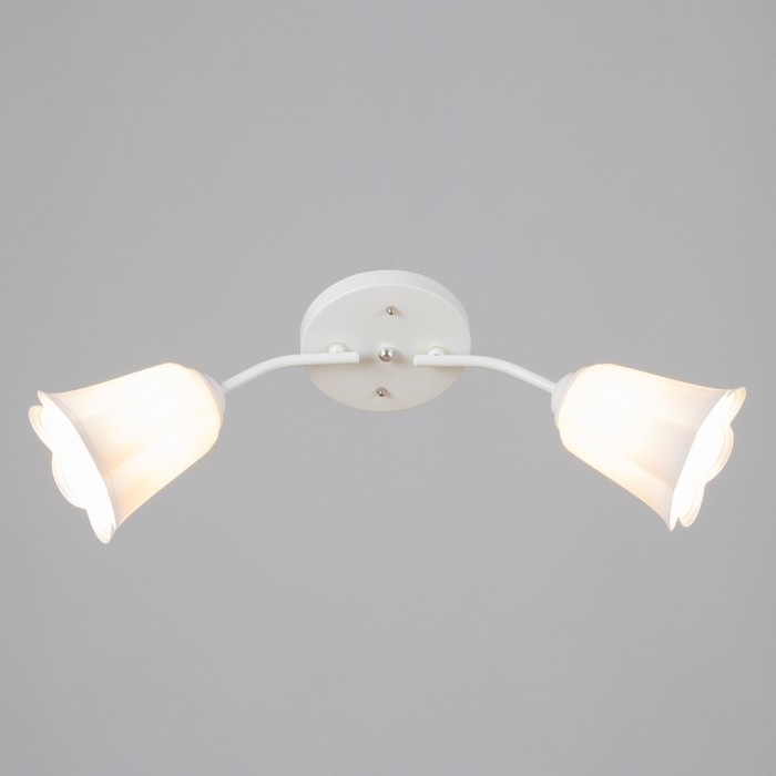 Люстра Люстра "Онлайн" (цветок) 2х15Вт Е27 МОДЕЛЬ: BR 00196 белый