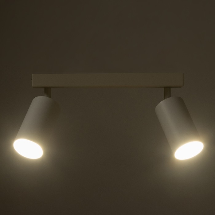 Спот Спот "Этнес" 2хGU10 белый 29,5х6,5х16,5 см