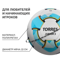 Футбольный мяч TORRES Junior-5, F320225, ручная сшивка, 32 панели, р. 5, PU