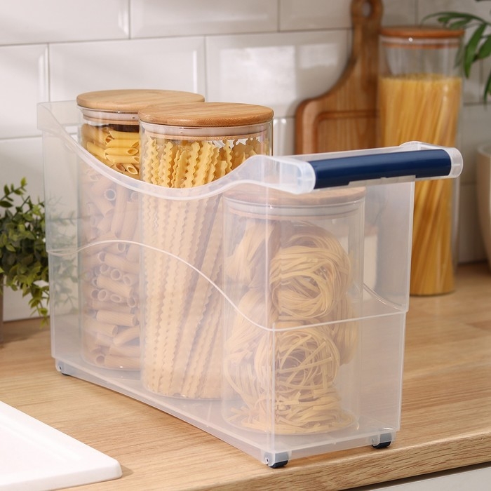 Контейнер для хранения на колёсиках, 10 л, 46,2×16,2×27,2 см, с ручкой, цвет прозрачный Контейнер для хранения на колёсиках, 10 л, 46,2×16,2×27,2 см, с ручкой, цвет прозрачный