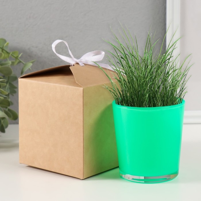 Набор для выращивания растений Набор для выращивания растений "Вырасти травку" зеленый