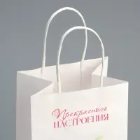 Пакет подарочный под бутылку, упаковка, «Прекрасного настроения», белый крафт, 13 х 36 х 10
