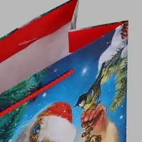 Пакет подарочный &laquo;Зимний волшебник&raquo;, 26&times;12&times;32 см