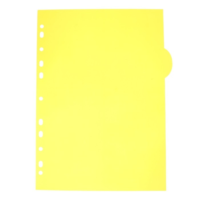 Разделитель листов A4 (300 x 225 мм) цветовой, 5 листов, Разделитель листов A4 (300 x 225 мм) цветовой, 5 листов, "deVENTE. Marandi" полипропилен 140 мкм, индивидуальная упаковка