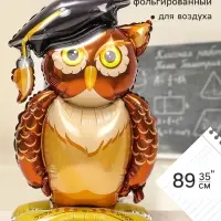 Шар фольгированный 35" &laquo;Мудрая сова&raquo; на подставке, под воздух
