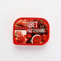 Ланч - бокс прямоугольный &laquo;Цвет настроения красный&raquo;, 500 мл