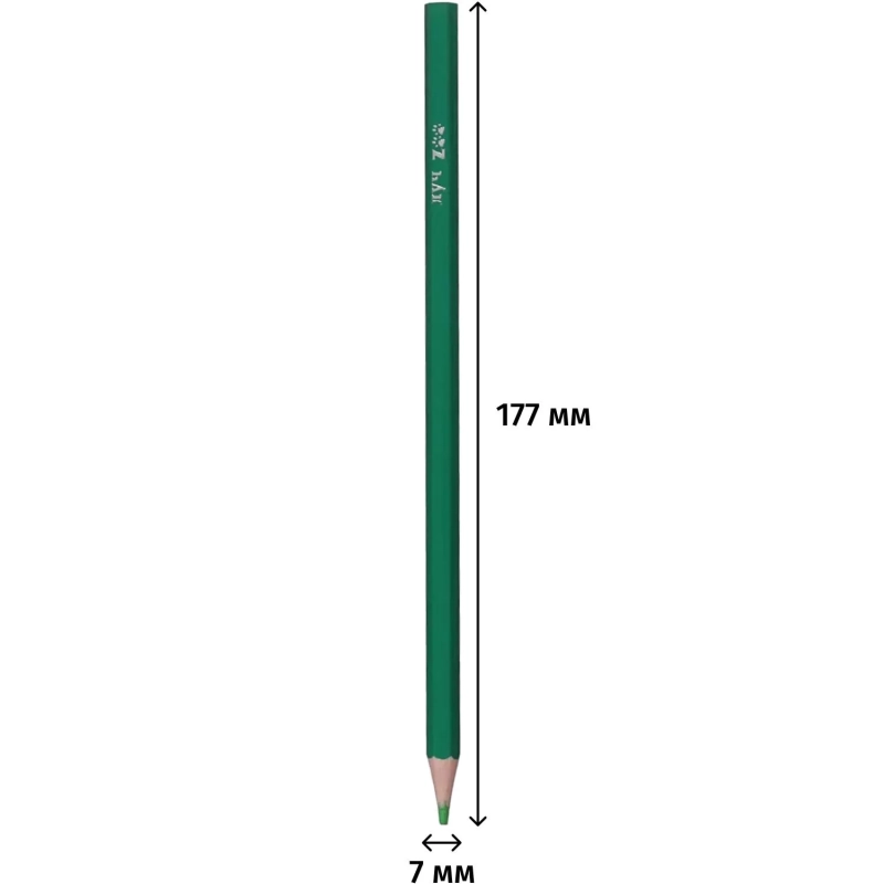 Карандаши цветные шестигранные ZOO 12 цв. (пластиковые) 29С 1740-08
