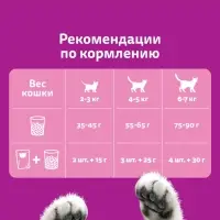 Сухой корм Whiskas для кошек, курица/индейка паштет, подушечки, 13.8 кг