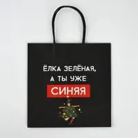Набор пакетов подарочных новогодних &laquo;Так тебе и надо&raquo;, 6 шт., 22&times;22&times;11 см