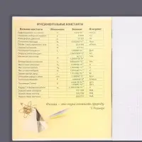 Тетрадь предметная 48 листов в клетку, Calligrata «Доска. Физика», обложка мелованный картон