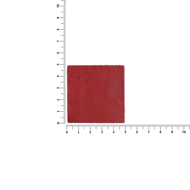 Лейбл кожаный Pasek, L, красный