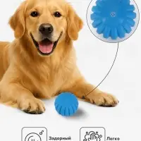 Игрушка для собак &laquo;Мяч с отсечками&raquo;, 6 см, пищащая, синяя