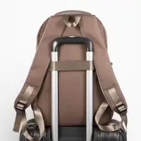 Рюкзак школьный &laquo;Котик&raquo;, 3 кармана, 2 отделения, 29&times;14&times;44 см, бежевый