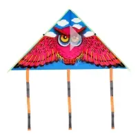 Воздушный змей &laquo;Сова&raquo;, с леской