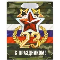 Пакет подарочный ламинированный «23 февраля», S 12 х 15 х 5.5 см