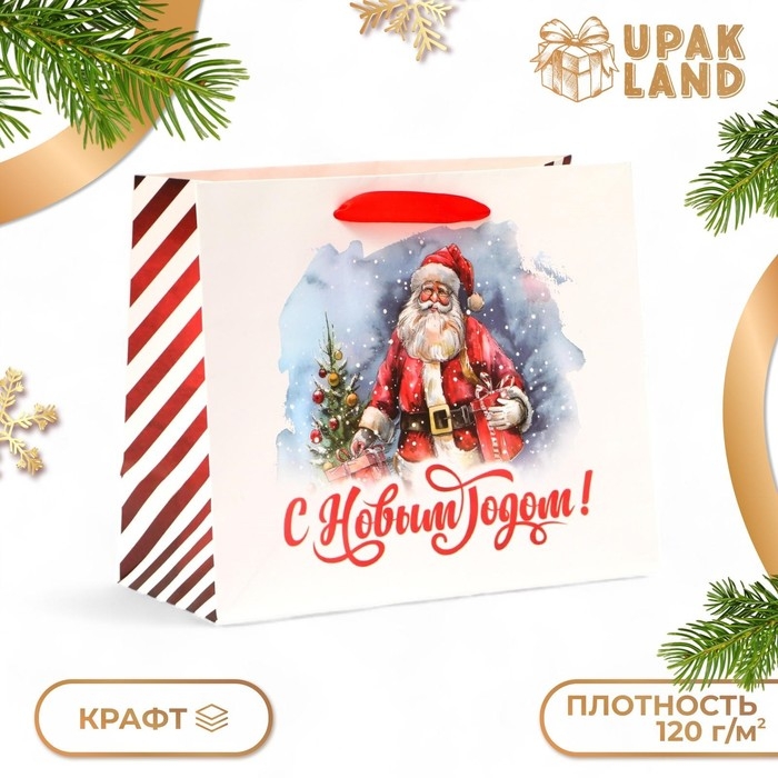 Новый год. Пакет подарочный новогодний бумажный,  Новый год. Пакет подарочный новогодний бумажный, "Дед Мороз", 24 х 20 х 11 см.